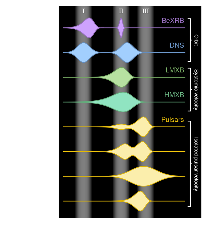 Comparison with supernova kick constraints from the literature